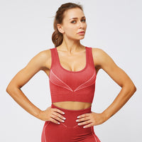 Push Up Sports Bra Workout Fitness